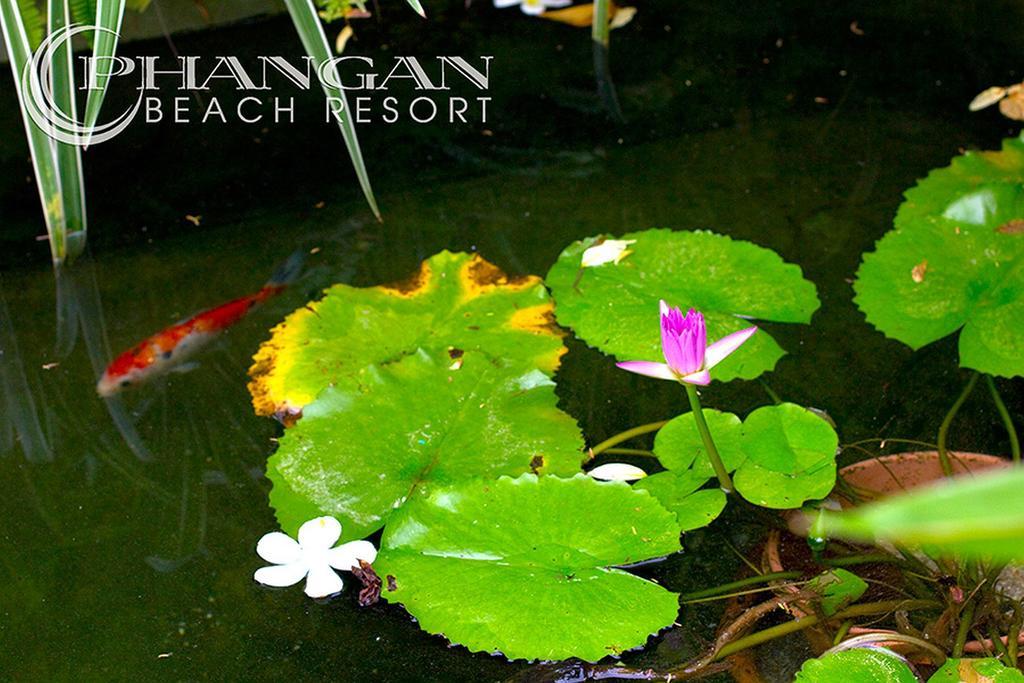 Phangan Beach Resort Баан Тай Экстерьер фото